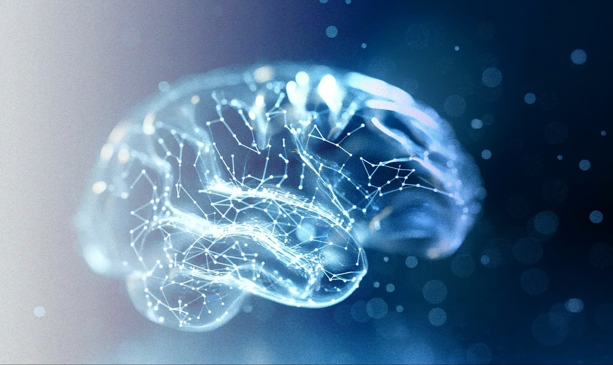 Transparent three-dimensional illustration of the human brain